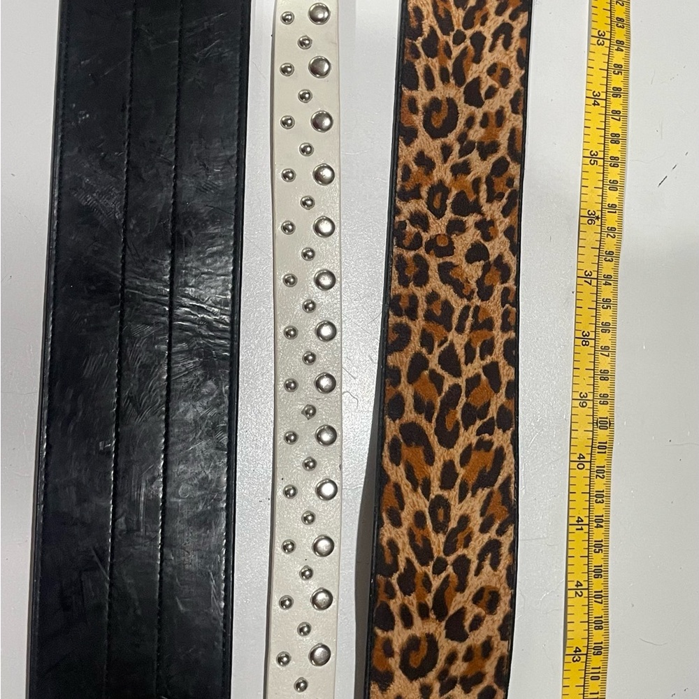 Bundle of (3) Express Belts